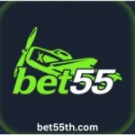 Bet 55 Game interface